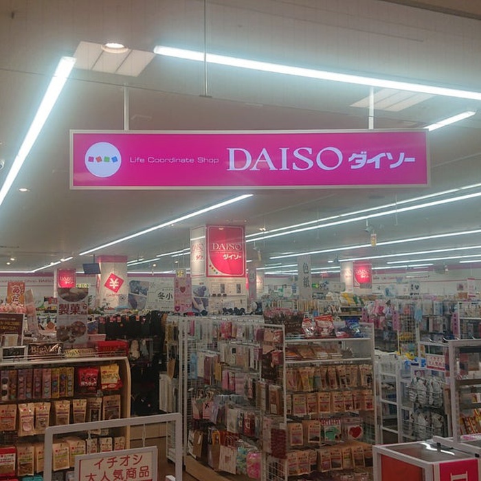 その他　ダイソー（その他）まで750m