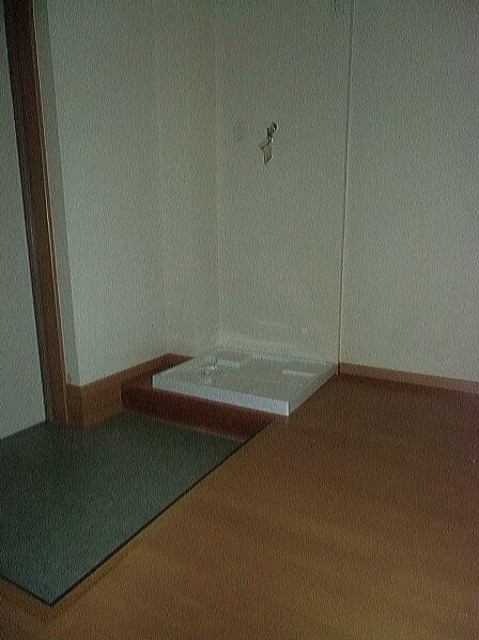 その他　室内洗濯機置場