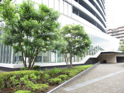 その他　マンションエントランス