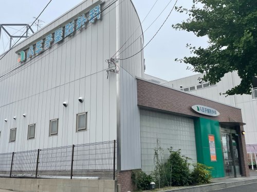 病院　八王子整形外科（病院）まで251m