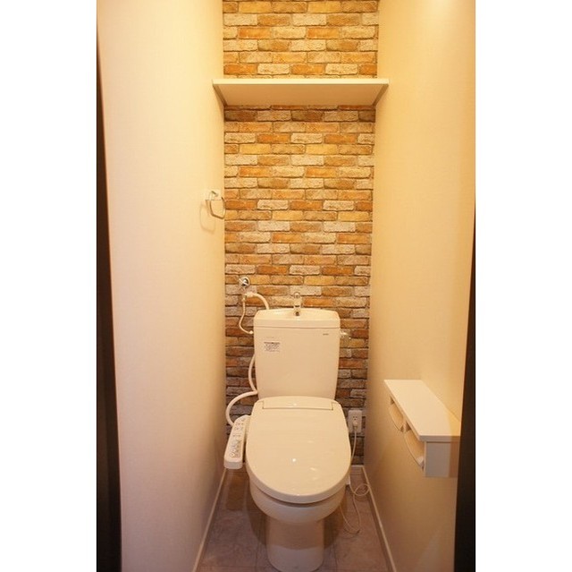 ルミエール メゾンAのトイレ写真