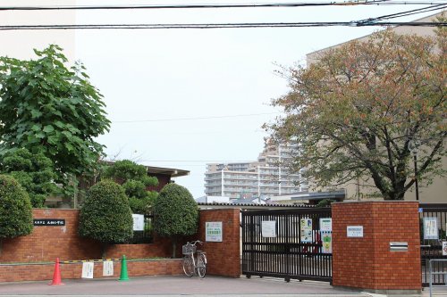 小学校　大阪市立大桐小学校（小学校）まで190m