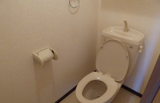 Surplus 桜のトイレ写真