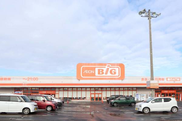 スーパー　ザ・ビック 釈迦内店（スーパー）まで800m