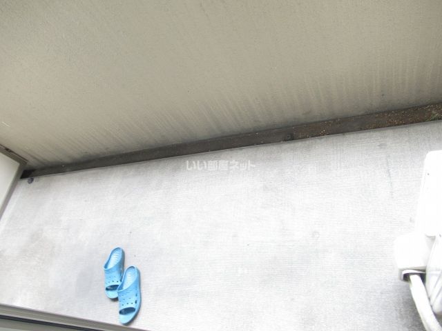 Y z Lucaoの内装写真