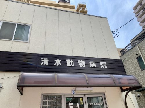 病院　清水動物病院（病院）まで258m