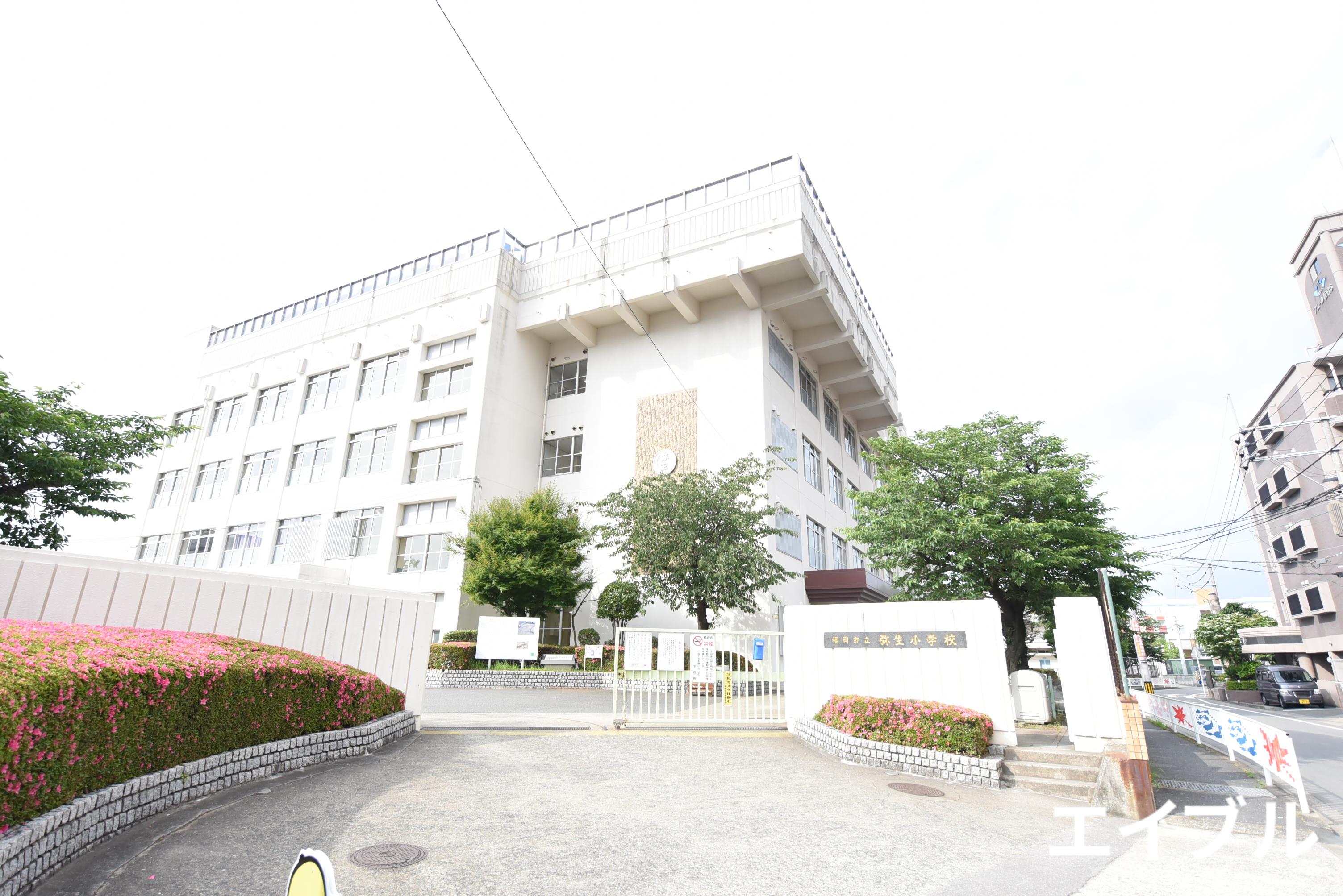 小学校　福岡市立弥永小学校（小学校）まで419m