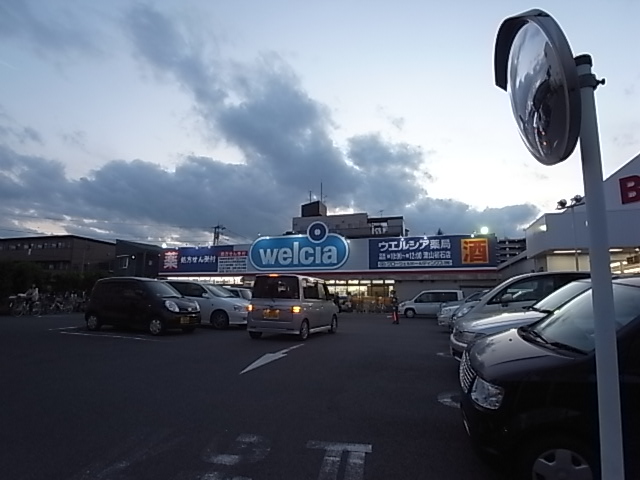ドラックストア　ウエルシア 流山店（ドラッグストア）まで813m