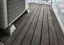 イプセ学芸大学の内装写真