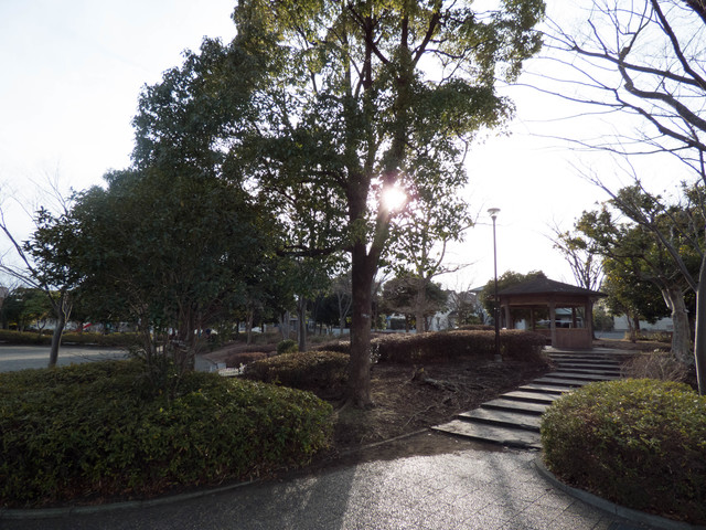 その他　沢木谷公園（その他）まで306m