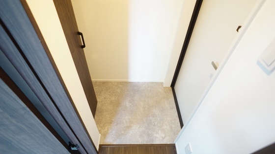 玄関　同仕様タイプ