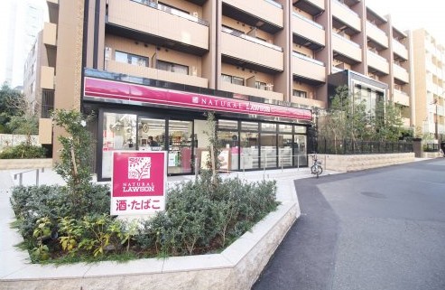 コンビニ　ナチュラルローソン南麻布二丁目店（コンビニ）まで126m