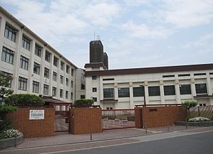 小学校　大阪市立大道南小学校（小学校）まで230m