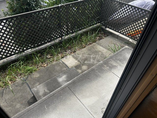 庭