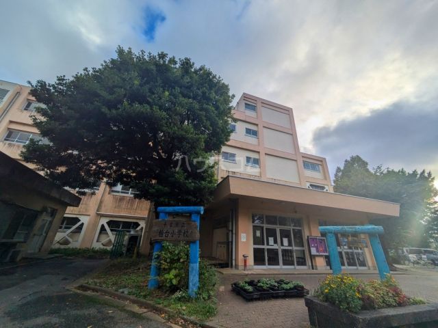 小学校　柏台小学校（小学校）まで3852m
