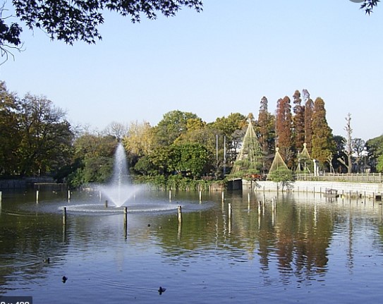 公園　碑文谷公園（公園）まで789m