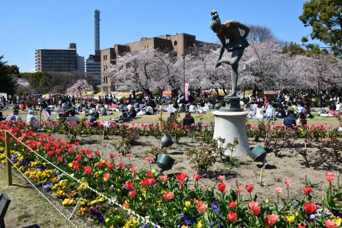 【名古屋市昭和区吹上町のアパートの公園】