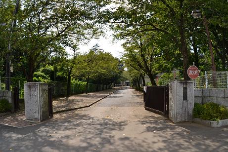中学校　古河市立古河第二中学校（中学校）まで1075m