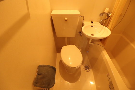 トイレ　※別号室の写真です。