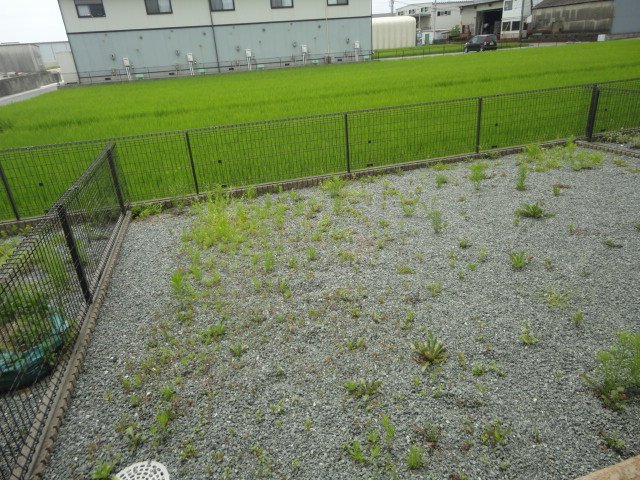 庭　専用庭（イメージ）