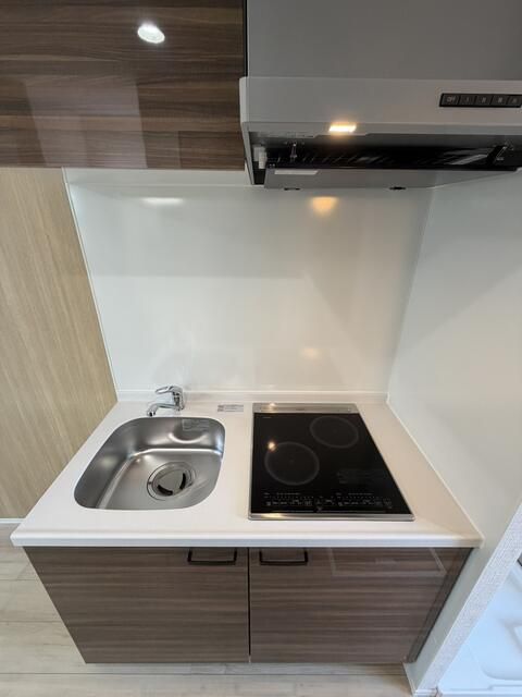 その他　２口のIHクッキングヒーターです