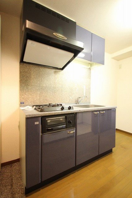 キッチン　同物件、別号室のものです。