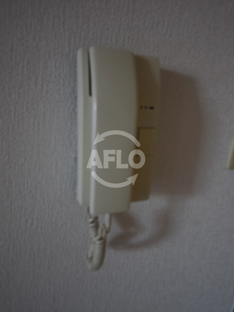 セキュリティ　難波パークハウス　インターホン