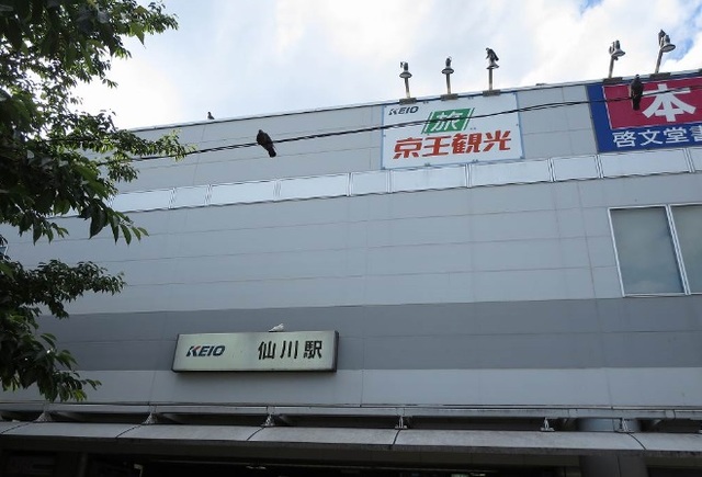 その他　仙川駅（その他）まで2600m