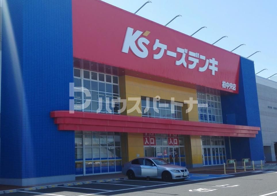 ショッピングセンター　ケーズデンキ 柏中央店（ショッピングセンター）まで1220m