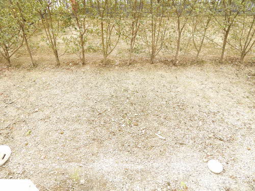 庭　お庭も活用できます