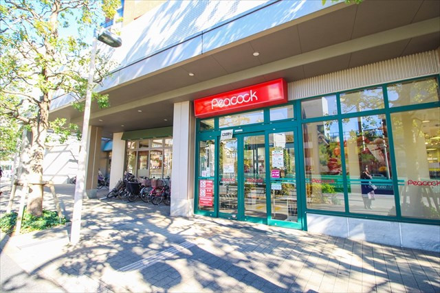 スーパー　ピーコックストア三軒茶屋の杜店（スーパー）まで577m