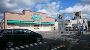 ドラックストア　ダックス右京葛野八条店（ドラッグストア）まで686m