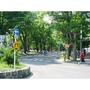 大学・短大　北海道大(18条門）（大学・短大）まで1000m
