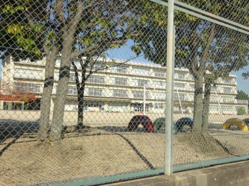 小学校　宝塚市立 丸橋小学校（小学校）まで349m