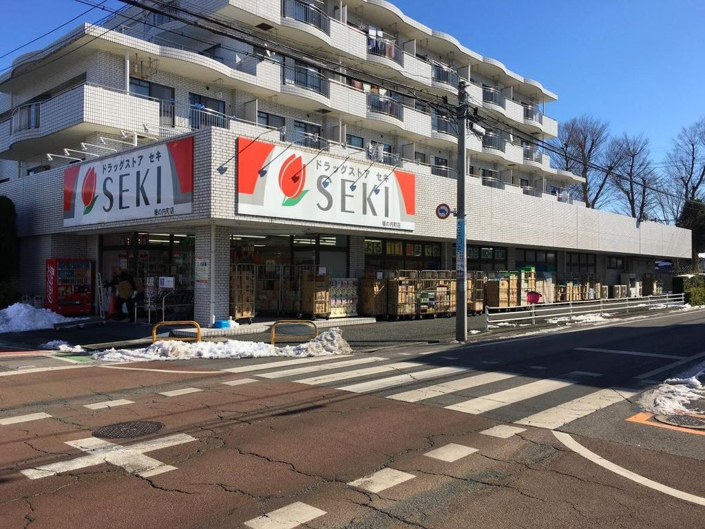 ドラックストア　ドラッグストアセキ堀の内町店（ドラッグストア）まで520m