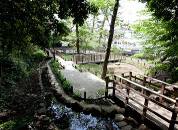 公園　上野毛自然公園（公園）まで514m