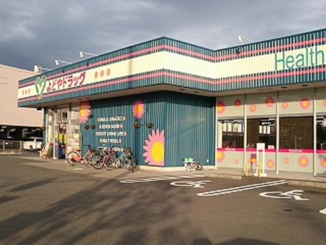ドラックストア　よどやドラッグ高知南金田店（ドラッグストア）まで502m