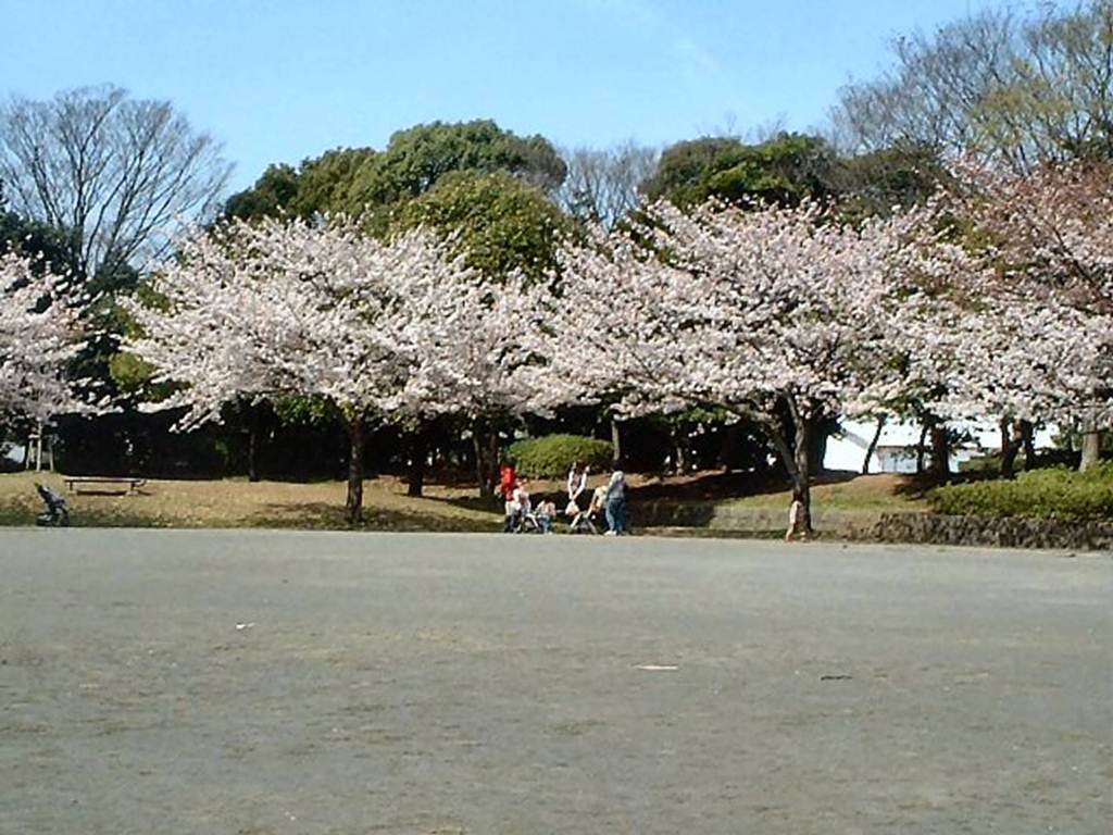 公園　港南台北公園（公園）まで1042m