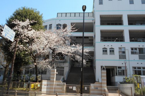 小学校　新宿区立四谷第六小学校（小学校）まで776m