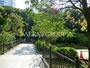 公園　清水谷公園（公園）まで593m