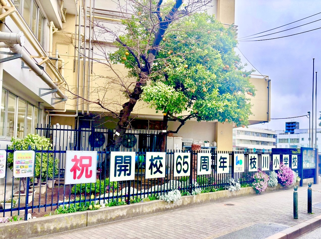 小学校　江東区立枝川小学校（小学校）まで720m