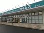 ドラックストア　ドラッグセイムス 稔台店（ドラッグストア）まで550m
