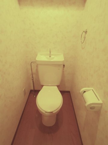 トイレ　同物件、他のお部屋の写真です。