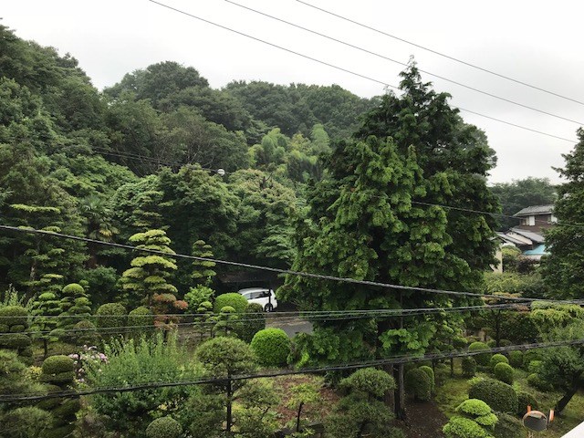 眺望