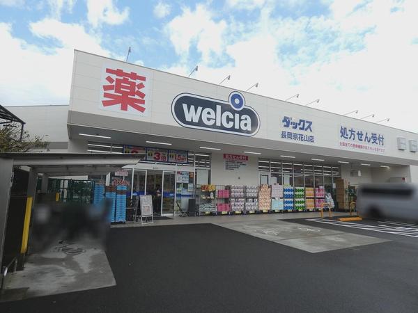 ドラックストア　ダックス長岡京花山店（ドラッグストア）まで1391m