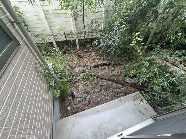 庭