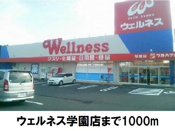 ドラックストア　ウエルネス学園（ドラッグストア）まで1000m