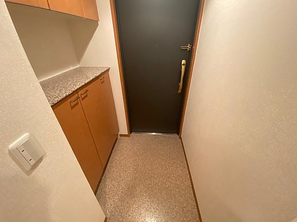 玄関　※別部屋の参考写真です。