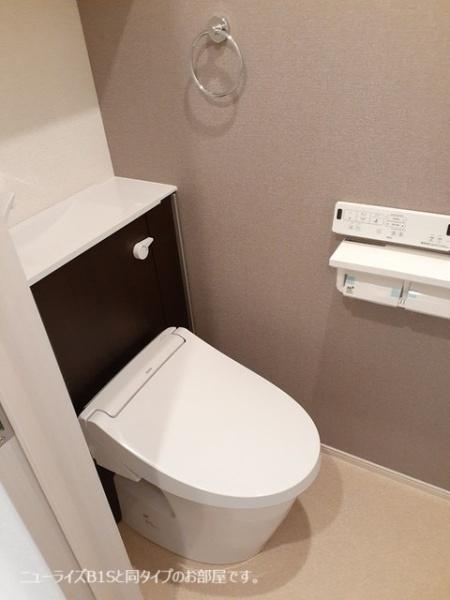 近鉄南大阪線 古市駅 徒歩20分 2階建 新築のトイレ写真