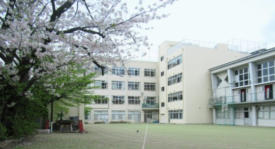 小学校　文京区立大塚小学校（小学校）まで150m